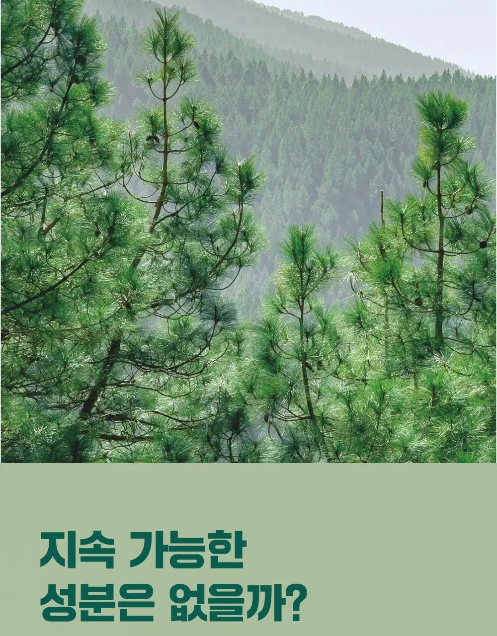 [피지말끔] 라운드랩 소나무 진정 시카 클렌저 150ml 상세페이지 5